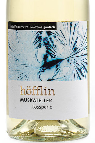 Muskateller Lössperle Höfflin oekowein